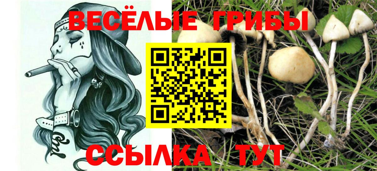 Псилоцибиновые грибы ЛСД  Вход с VPN  Псилоцибиновые грибы Psilocybe  Карталы 