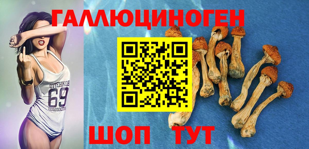 Галлюциногенные грибы Cubensis Карталы